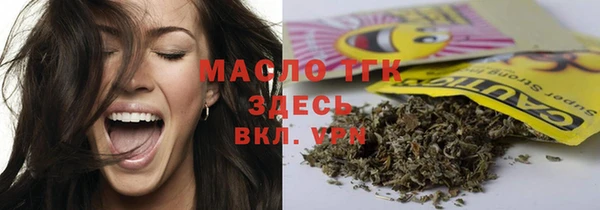 гидра Заводоуковск