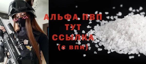 гидра Заводоуковск