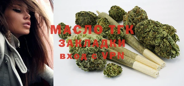 гидра Заводоуковск