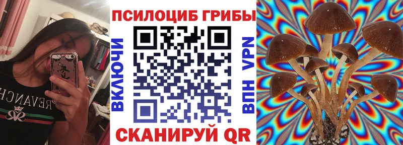 Купить где  Нарьян-Мар  Галлюциногенные грибы мухоморы 